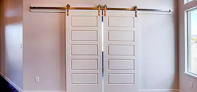 Glass Barn Door with Installation Hardware Kit Reading